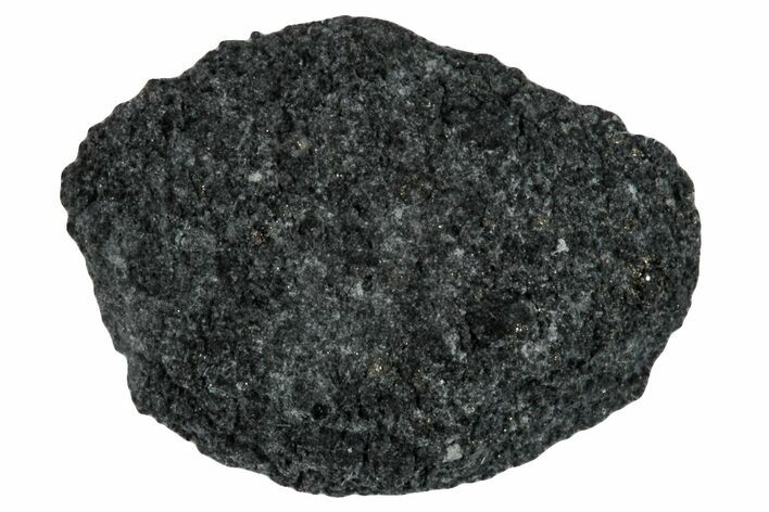 Carbonaceous Chondrite Meteorite Fragment ( g) - NWA #291380